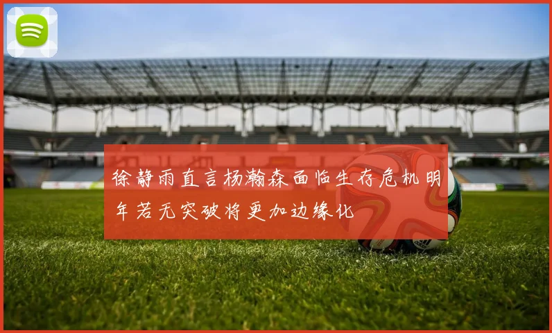徐静雨直言杨瀚森面临生存危机明年若无突破将更加边缘化
